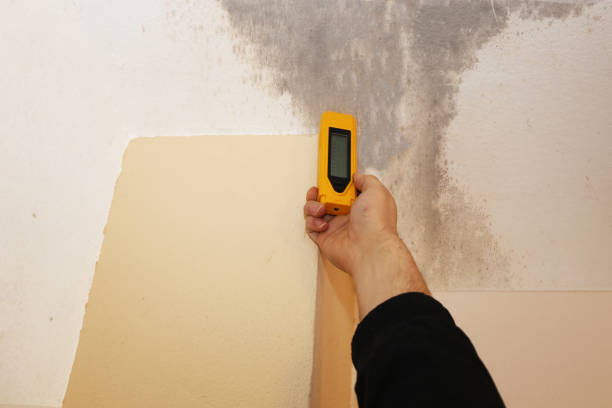 Best Industrial Mold Remediation  in Churchville, PA